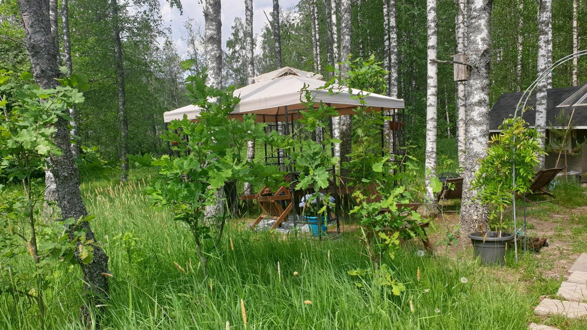 Troll House Eco-Cottage, Nuuksio For Nature Lovers, Petfriendly Espoo Bagian luar foto